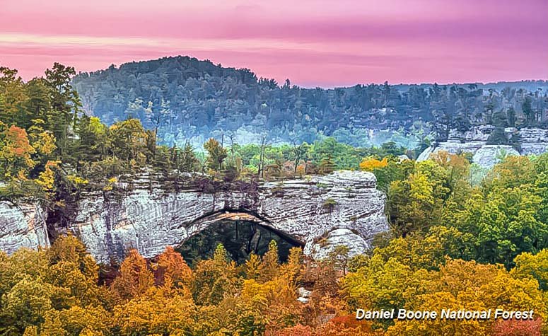 Slide 12