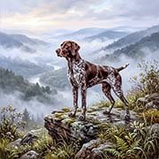 german-shorthaired-