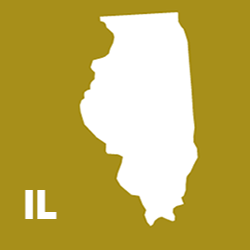 Illinoise